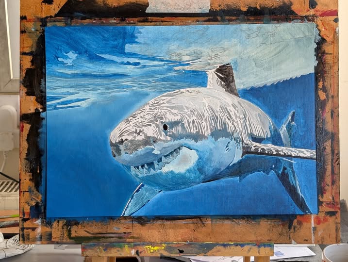 Shark. part 4