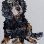 Sammy