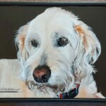 Roxie