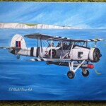 The Swordfish